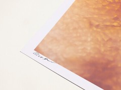 Tripe – 17″ x 22″ Fine Art Photography Print – Artistic Food Photography