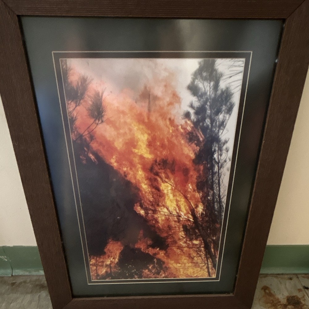 Lot of 3 Matted & Framed Color Wildfire Smoke Forest Photo Wall Art, Portrait