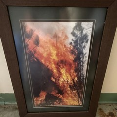 Lot of 3 Matted & Framed Color Wildfire Smoke Forest Photo Wall Art, Portrait