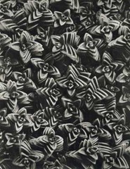 KARL BLOSSFELDT,1942 Original BOTANICAL PLANT, FREE SHIPPING, Rare