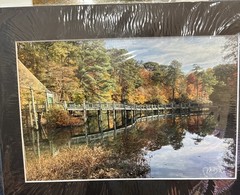 Michael Descher Wall Art 10×8 Lot Of 2 Trees