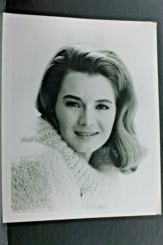 Angie Dickinson Head Shot – 8×10″ Photo Print-Vintage L1182A