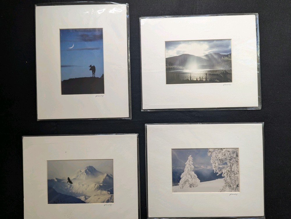 Set of 4 Wildlife/Nature Photographs by Jim Stamates, 4″x6″, Matted to 8″x10″