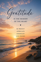 The Power Of Gratitude