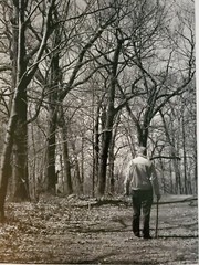 MAN IN FOREST LARGE ORIGINAL SIGNED ART PHOTO B&W STETTNER VTG MATTE NJ CAMERA