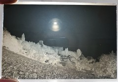 Lot Of 11 Photographic Plates Early 20th Century From Thonon-Les-Bains