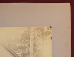 Antique Family Portrait Black and White Photograph, Leslie Hindman Auctioneers
