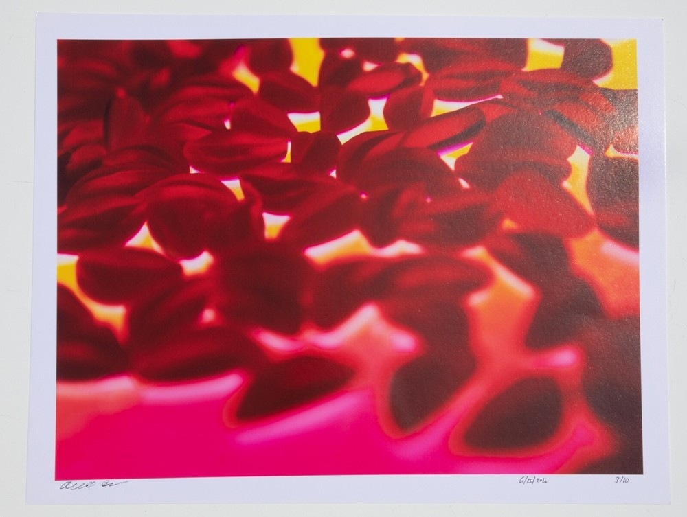 Gummy Lips – 17″ x 22″ Fine Art Photography Print – Artistic Food Photography