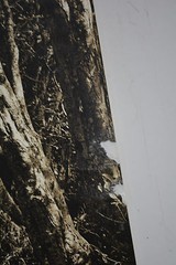 Original Alan Houghton fine art Photography Standing Rock-Two 2002 15 X 20