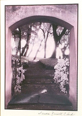 SANDRA RUSSELL CLARK (?) FRAMED/MATTED MONOCHROMATIC (PURPLE-TONES) GARDEN PHOTO