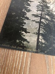 SUPERB 1898 Original Photo Lot Of 2 South Dome El Capitan YOSEMITE 7” x 9”