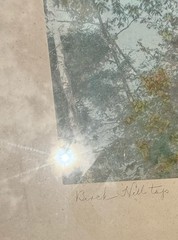 Wallace Nutting Signed Hand Painted PHOTO PRINT Framed 37+31 Large