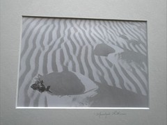 Signed Marilyn Littman Original B&W Photograph Framed Rose Sand Dunes