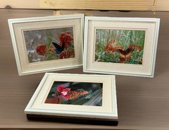 Lot of 3 Photo Monarch Butterfly 5×7 Art Photography Matted Plastic Framed 10×8”