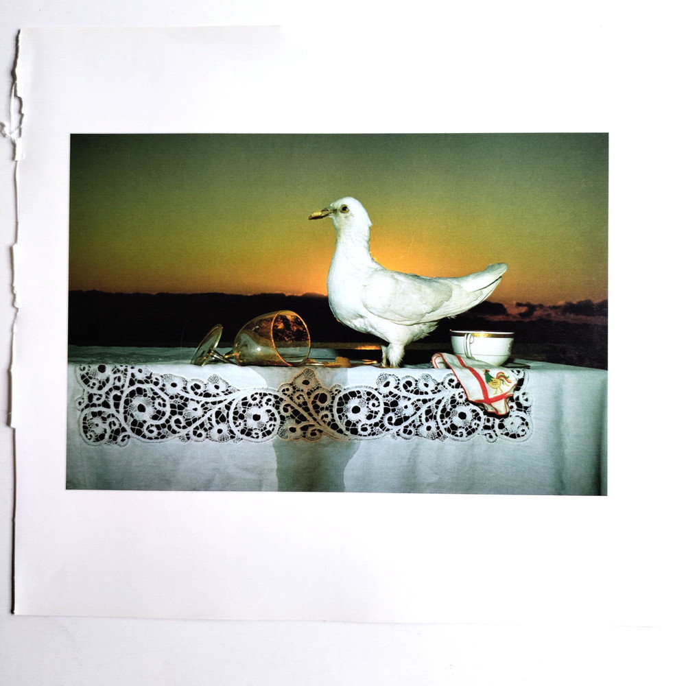 Book Plate Norfleet 1986 5-1/8 X 7-5/8 White pigeon and broken wine glass