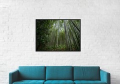 Arashiyama Bamboo Grove photo print