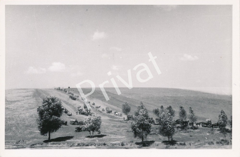 Photo WW II Wehrmacht Soldiers Vehicles Convoy Advance Poland Polska L1.72