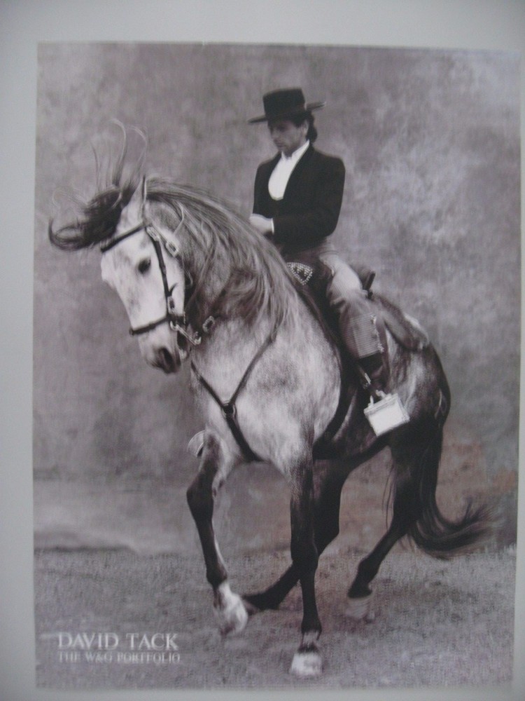 BOLERO,PHOTO BY DAVID TACK,THE W&G PORTFOLIO AUTHENTIC 1990 ART PHOTO PRINT