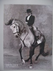BOLERO,PHOTO BY DAVID TACK,THE W&G PORTFOLIO AUTHENTIC 1990 ART PHOTO PRINT