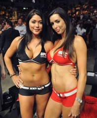 BEAUTIFUL OCTAGON GIRLS UFC 8X10 Photo