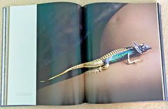 Assouline Art Photography Unexpected Creations, Rolf von Bueren Thai jeweler