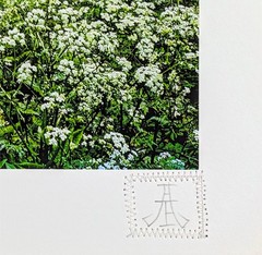 PixelPusher 9×12 Inch Archival Photography Print (Hahnemühle Paper) LD05 Park
