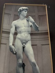 Photo Of David Sculpture: Michelangelo/ Matted And Framed
