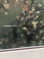 Thomas Mangelsen «Jewel of the Desert» Photo Print Signed Nature LOW NUMBER