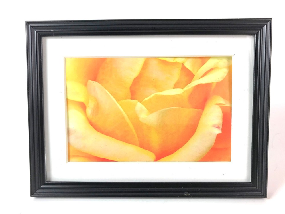 YELLOW ROSE, 4×6 » MATTED AND FRAMED PRINT, READY TO HANG, GREAT GIFT!