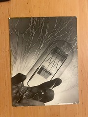 Vintage Photo Nicola Tesla? Electric Light Bulb Science 12+9 In Edison?