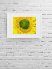 «EYE OF THE SUNFLOWER» 4×6 » MATTED AND FRAMED PHOTO PRINT, READY TO HANG