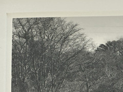 Framed Archival Pigment Photo Print of Farm Field