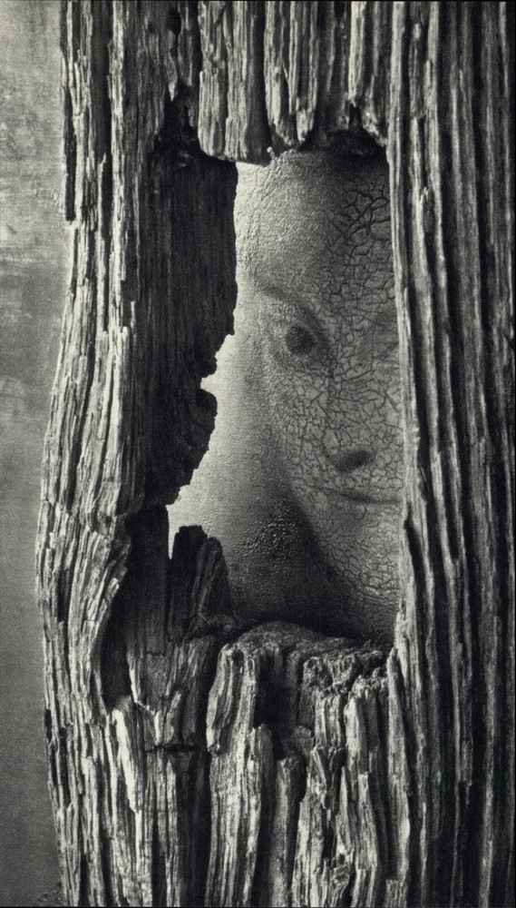 1959 1972 Andre Kertesz Peek-A-Boo Aged Wood New York Art Photo Photogravure