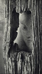 1959 1972 Andre Kertesz Peek-A-Boo Aged Wood New York Art Photo Photogravure