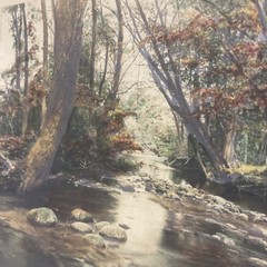AQ Fred Thompson “Woodland Symphony” Original Hand Tinted Photograph Signed 7×9”