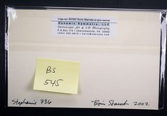 Boris Starosta 3D Stereoview – Stephanie 736 – nude black model signed 2002