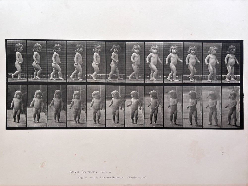 Eadweard Muybridge. # 468. Child, Walking. Original Collotype (1887)