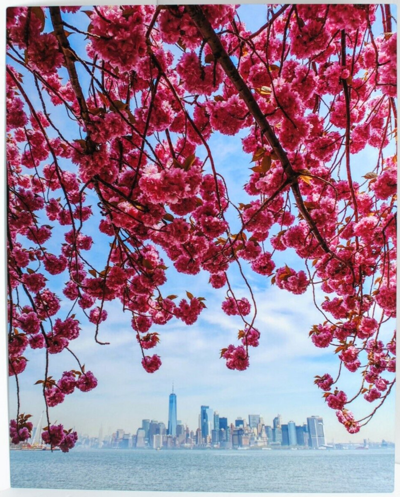 Metal Print Professional Photograph on Metal «New York Across the Bay» 16″ by 20