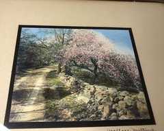 VINTAGE SIGNED WALLACE NUTTING HAND COLORED PHOTO DIRT ROAD ROCK WALL BLOSSOMS