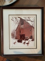 Signed Lee Mann The Barn Yard Framed Photo Print Skagit Valley WA Red Barn Geese