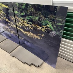 Peter Lik «Forest Dreams» 12 Foot Epic Washington Picture Recess