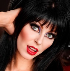 Sexy Elvira Mistress of the Dark in Lingerie Metal Sign Wall Art 14″ x 11″