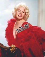 Carroll Baker (Vintage Hollywood Actress 8×10 Photos) Color/B&W Many to Choose