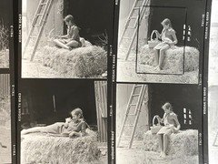 NEWLY FOUND Hendrickson PHOTO Contact Sheet Proof/Negs GIRL HOLDS KITTEN & DUCKS