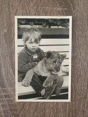 Photo old antique animal boy tiger animal nice old photo fashion Berlin