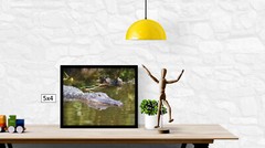 Alligator in the Everglades, High Resolution Image, Many Formats, TV Art