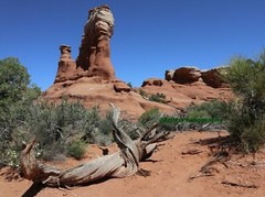 10×8 » Print Original Photo Photography Desert Art Decor Arches Narrows Canyons