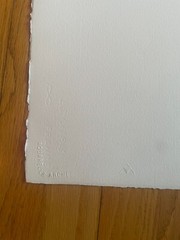 Ann Hamilton Signed and numbered Print titled, «Flectere,» 2000