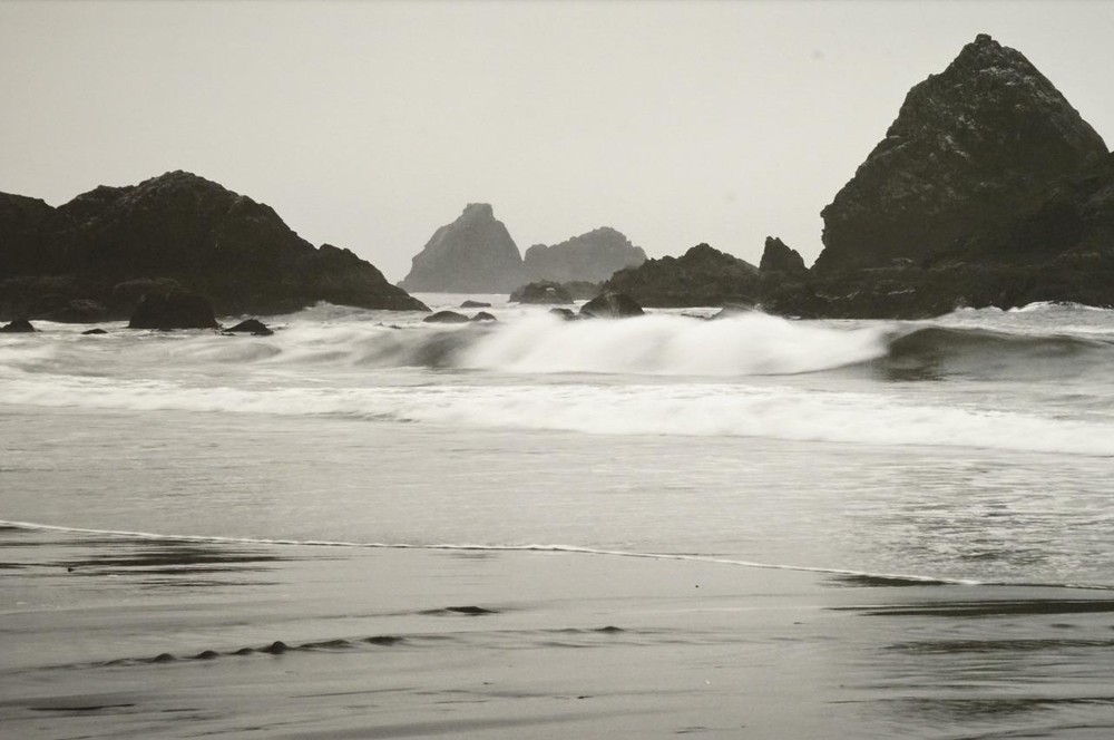 Tom Adams Photography Harris Beach Morning Mist Oregon Matted Photo Art 16×20