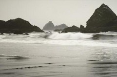 Tom Adams Photography Harris Beach Morning Mist Oregon Matted Photo Art 16×20